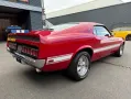 Ford SHELBY GT 350 Fastback