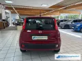 Fiat Pandina Hybrid Icon Tempomat Digitales Cockpit D