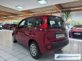 Fiat Pandina Hybrid Icon Tempomat Digitales Cockpit D