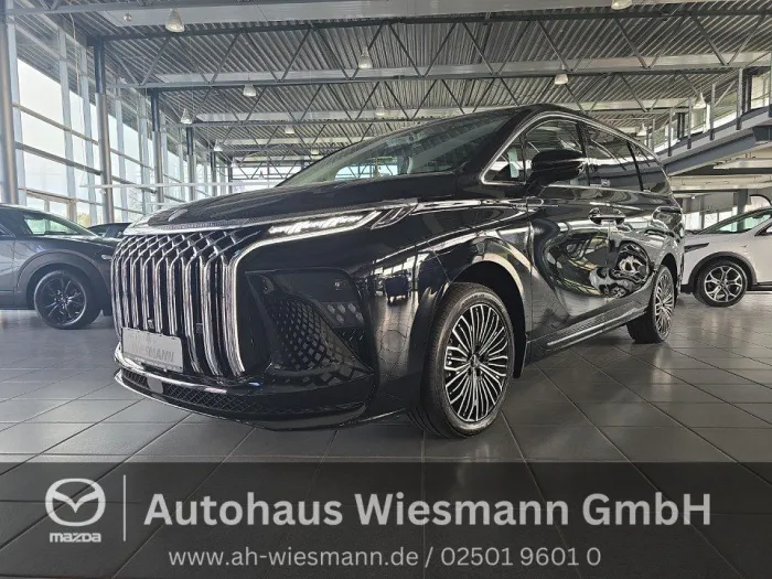 DFM Forthing 9 PHEV 7-Sitzer