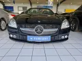 Mercedes-Benz SLK 200 SLK Roadster SLK 200 BlueEfficiency