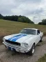 Ford Mustang Fastback V8 289cui 
