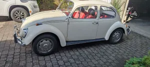 Volkswagen Käfer
