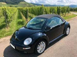Volkswagen New Beetle 1.9 TDI DPF Freestyle Cabriolet F...
