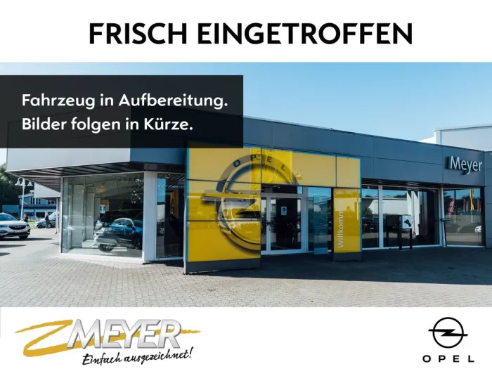 Opel Combo Cargo XL FlexCargo Kunststoff Kamera PDC