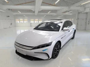 Other BYD HAN EXECUTIVE 4 PORTE BERLINA
