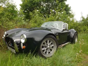 Cobra Replica - sogar ein original Phoenix Cobra!