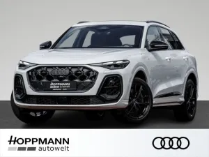 Audi Q5 2.0 TDI QUATTRO S-LINE AHK LEDER KAMERA