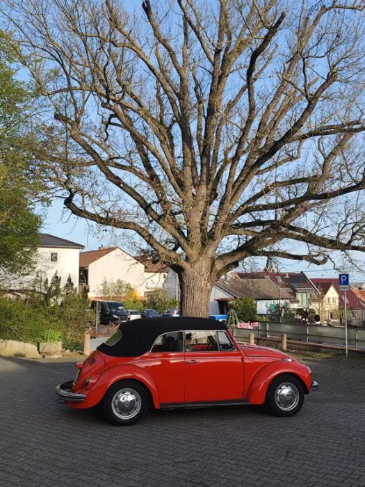 Volkswagen Käfer Cabrio LS