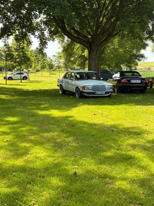 Mercedes-Benz Mercedes W123 240d