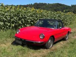 Alfa Romeo Spider Fastback