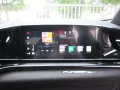 Ferrari Purosangue Carbon,Panorama,Burmester,Sitz-Styl-D
