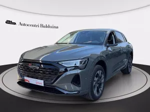 Other AUDI Q8 e-tron 55 business advanced quattro del 