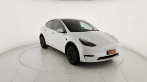 Other TESLA Model Y RWD