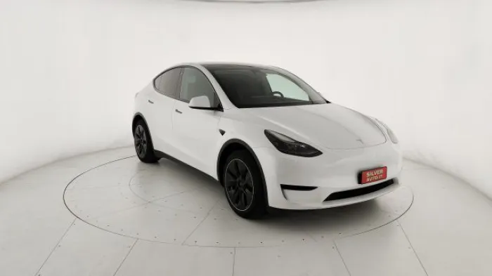 Other TESLA Model Y RWD