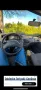 Ford escort  mit H-Zulassung