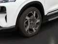 Hyundai Santa Fe 2.2L CRDi Prime 4WD Automatik