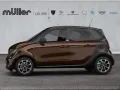 Smart Forfour Passion