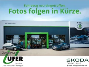 Skoda Rapid Spaceback Clever DAB SHZ PDC Berganfahrass