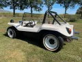 Volkswagen buggy 1966