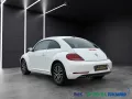 Volkswagen Beetle Allstar BMT 1.HAND-NAVI-PANO-XENON-KAMERA