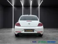 Volkswagen Beetle Allstar BMT 1.HAND-NAVI-PANO-XENON-KAMERA