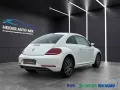 Volkswagen Beetle Allstar BMT 1.HAND-NAVI-PANO-XENON-KAMERA