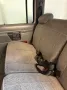 Ford Explorer U1