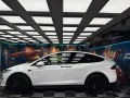 Tesla Model X LONG RANGE (329)
