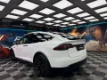 Tesla Model X LONG RANGE (329)