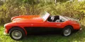 Austin Healey 3000 MK1 - 