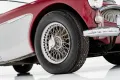 Austin Healey 3000 Mk III BJ8
