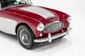 Austin Healey 3000 Mk III BJ8