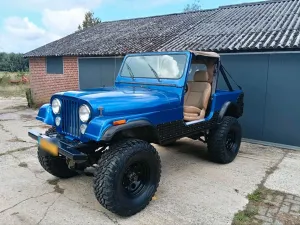 Jeep jeep cj cj7 t176 Dana 300
