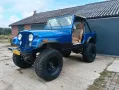 Jeep jeep cj cj7 t176 Dana 300