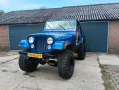 Jeep jeep cj cj7 t176 Dana 300
