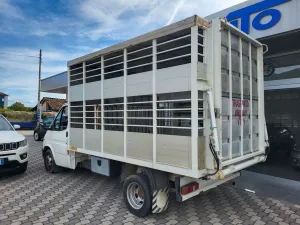 Ford Transit 2.5 diesel TRASPORTO ANIMALI VIVI -