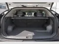 Kia EV3 Earth 81,4 kWh Akku RückKam Navi SHZ Voll-LE