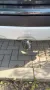 Opel Mokka X 1.6 Edition Start/Stop Edition