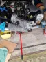 Other Wartburg 312 Export,  