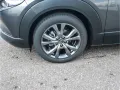Mazda CX-30 2025 e-SKYACTIV-X 186PS FWD 6GS Exclusive-