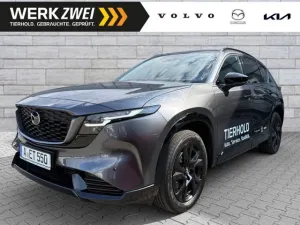 Volvo XC60 T6 R Design Plug-In ACC HUD PANO 22