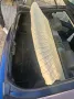 BMW e36 316i    (KEIN TAUSCH)