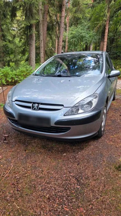 Peugeot 307, Silber