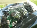 Morgan Plus 4 LHD Top Zustand