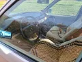Mercedes-Benz mercedes benz w124 250D