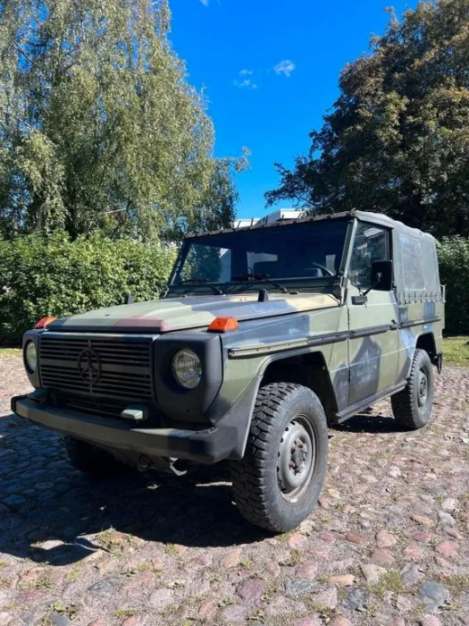Mercedes-Benz G 250