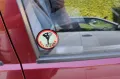 Ford Escort,1 Hand,Original 39980 KM!!!!Ne...