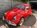 Volkswagen VW Käfer, BJ 1966, 1900cc Motor, als Projekt