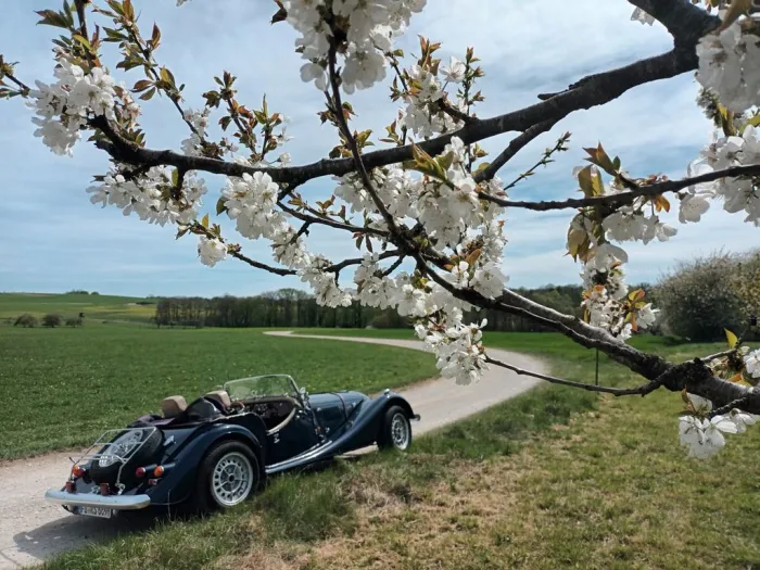 Morgan Plus 8 